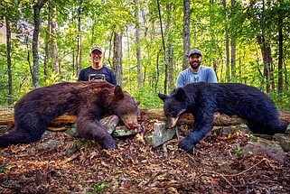 John O' Dell, left, and Daniel Mallette display two bears taken in Arkansas. (Special to The Commercial/John O' Dell)